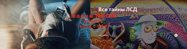 таблы Козловка