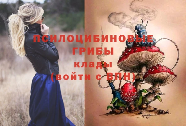 таблы Козловка