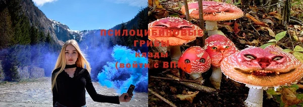 таблы Козловка